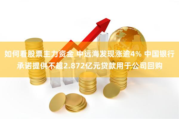 如何看股票主力资金 中远海发现涨逾4% 中国银行承诺提供不超2.872亿元贷款用于公司回购