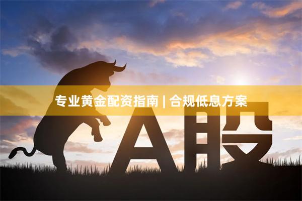 专业黄金配资指南 | 合规低息方案