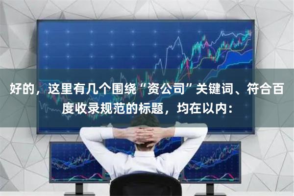 好的，这里有几个围绕“资公司”关键词、符合百度收录规范的标题，均在以内：