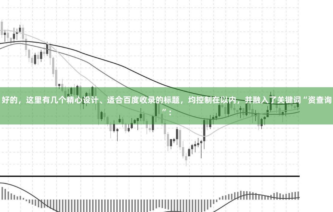 好的，这里有几个精心设计、适合百度收录的标题，均控制在以内，并融入了关键词“资查询”：