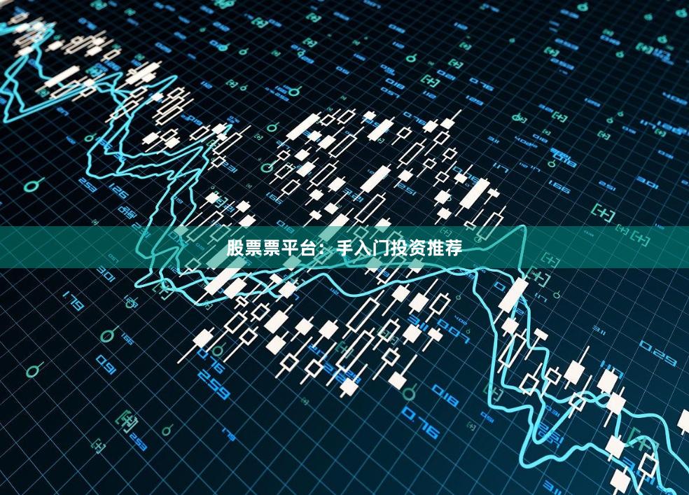 股票票平台：手入门投资推荐
